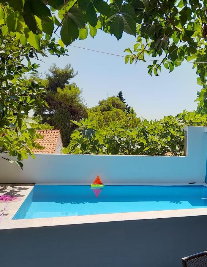 Studio Apartment Garden Dubrovnik Exteriör bild